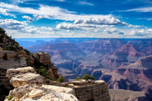 Grand Canyon web
