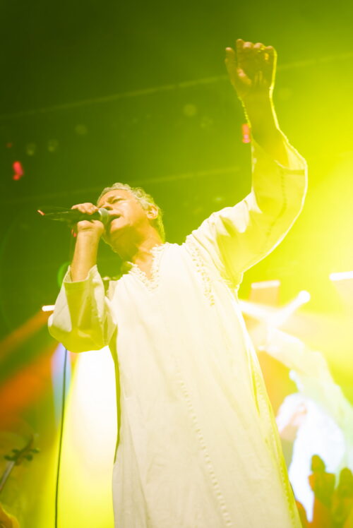 Polyphonic Spree 3 web