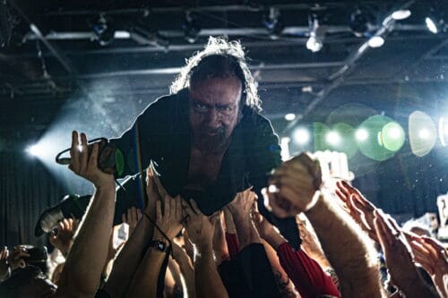 The Jesus Lizard web
